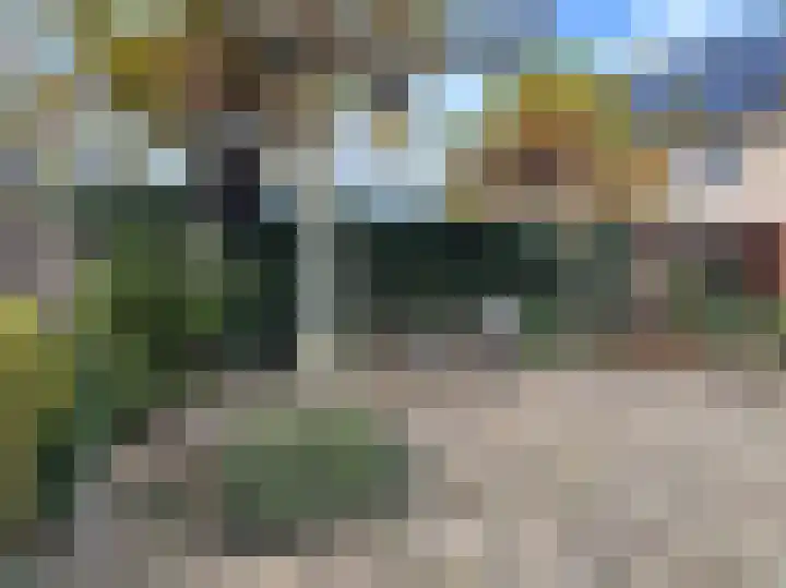 Zwanebloem 3 Woudenberg thumbnail 31