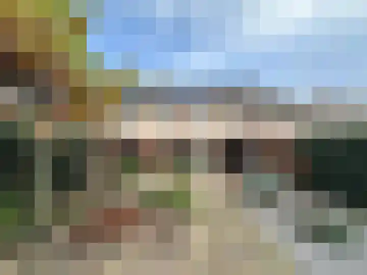 Zwanebloem 3 Woudenberg thumbnail 32