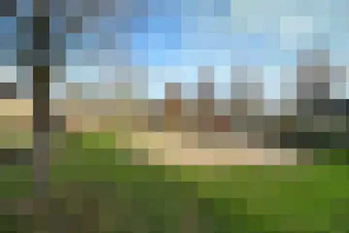Zwanebloem 3 Woudenberg thumbnail 37