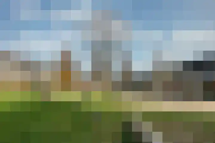 Zwanebloem 3 Woudenberg thumbnail 38