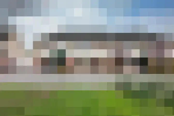 Zwanebloem 3 Woudenberg thumbnail 39
