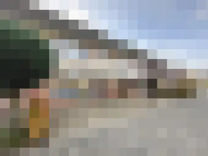 Zwanebloem 3 Woudenberg thumbnail 40