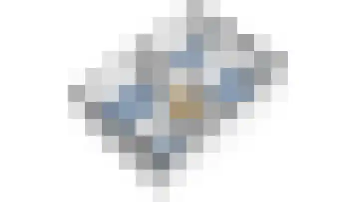 Zwanebloem 3 Woudenberg thumbnail 44