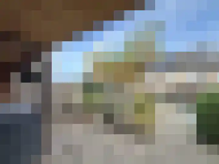 Zwanebloem 3 Woudenberg thumbnail 5