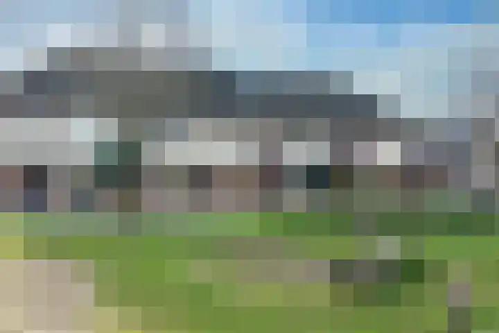 Zwanebloem 3 Woudenberg thumbnail 6