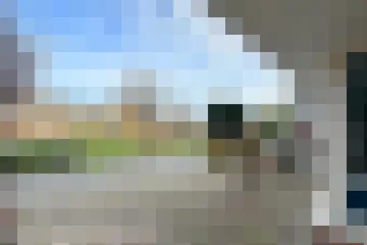 Zwanebloem 3 Woudenberg thumbnail 7