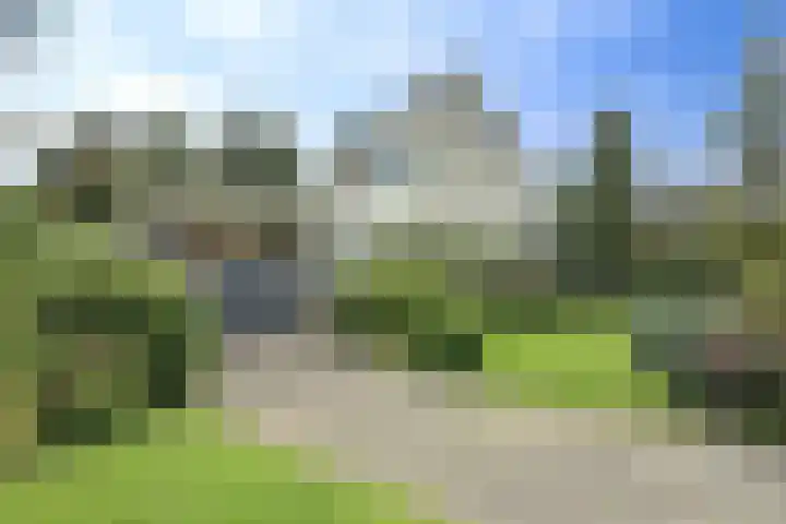 Zwanebloem 32 Hoogeveen thumbnail 10
