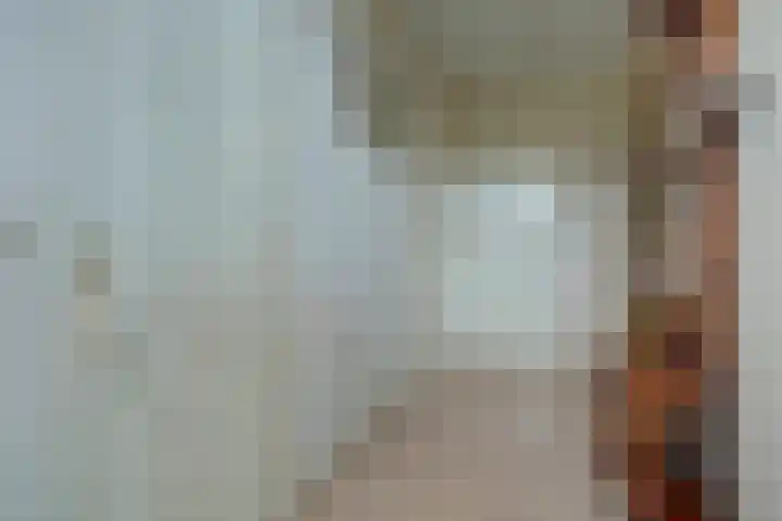 Zwanebloem 32 Hoogeveen thumbnail 12