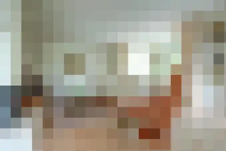 Zwanebloem 32 Hoogeveen thumbnail 13