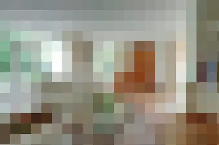 Zwanebloem 32 Hoogeveen thumbnail 14