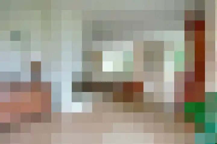 Zwanebloem 32 Hoogeveen thumbnail 15