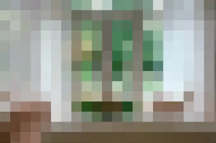 Zwanebloem 32 Hoogeveen thumbnail 16