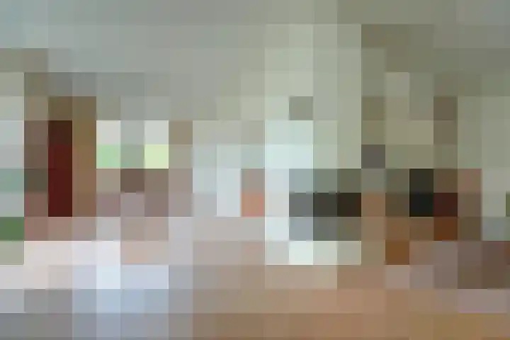 Zwanebloem 32 Hoogeveen thumbnail 18