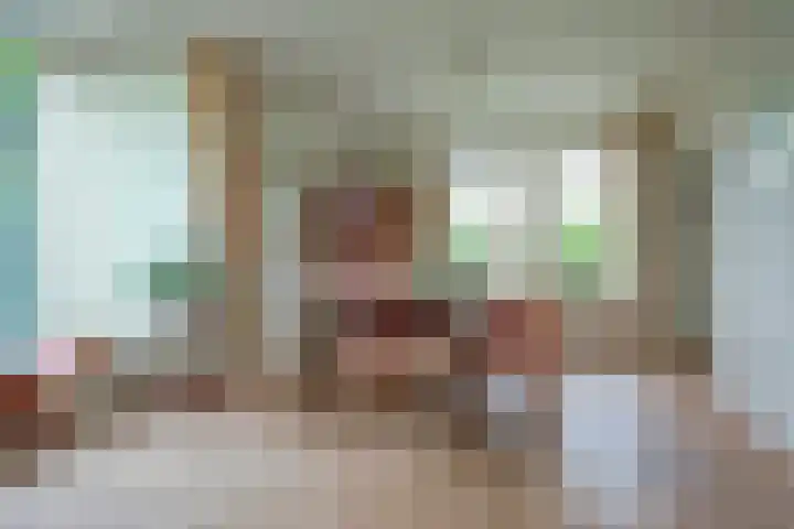 Zwanebloem 32 Hoogeveen thumbnail 20