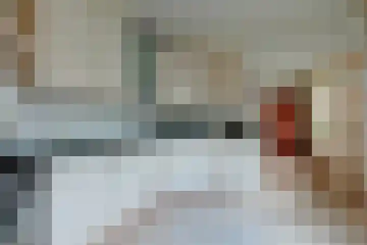 Zwanebloem 32 Hoogeveen thumbnail 22