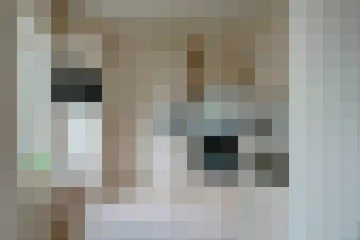 Zwanebloem 32 Hoogeveen thumbnail 23
