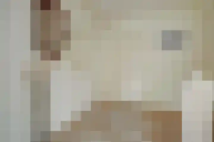 Zwanebloem 32 Hoogeveen thumbnail 31