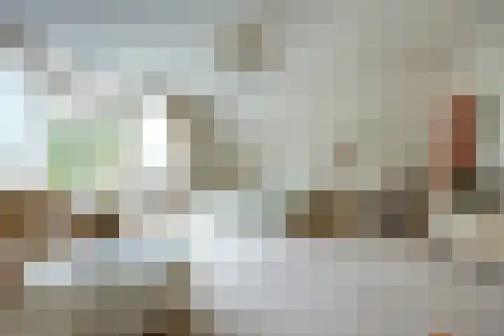 Zwanebloem 32 Hoogeveen thumbnail 33