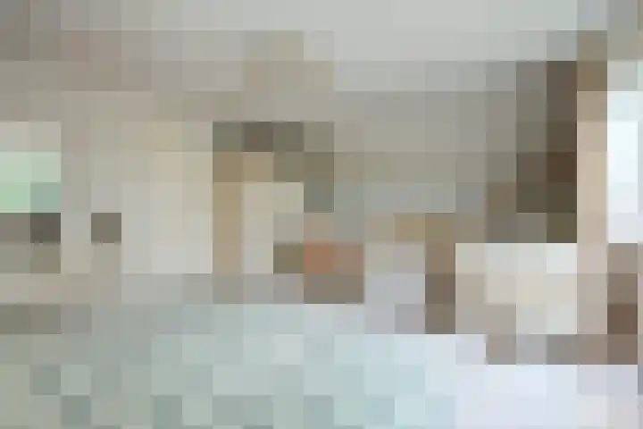 Zwanebloem 32 Hoogeveen thumbnail 34