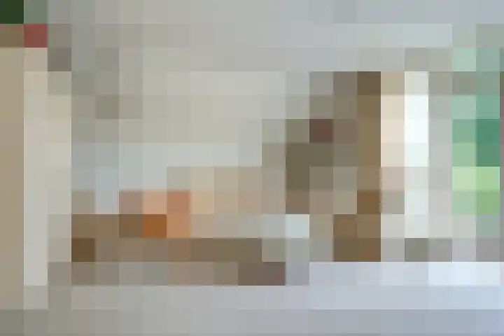 Zwanebloem 32 Hoogeveen thumbnail 35