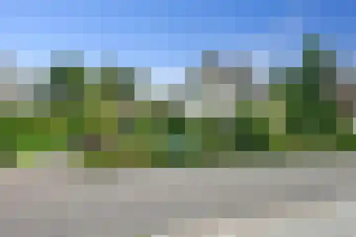 Zwanebloem 32 Hoogeveen thumbnail 4