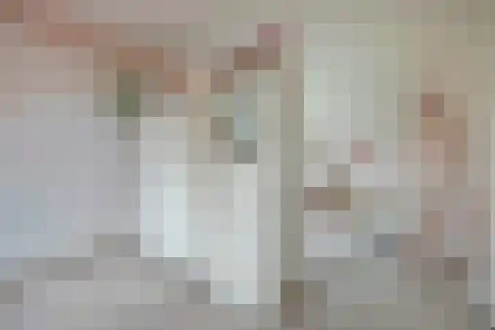 Zwanebloem 32 Hoogeveen thumbnail 41