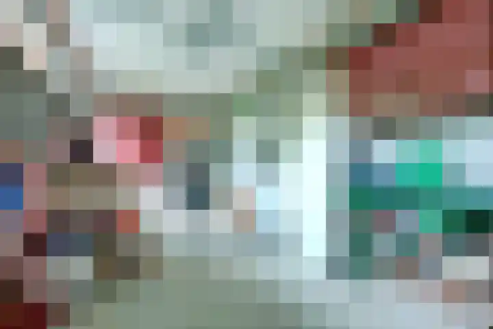 Zwanebloem 32 Hoogeveen thumbnail 47