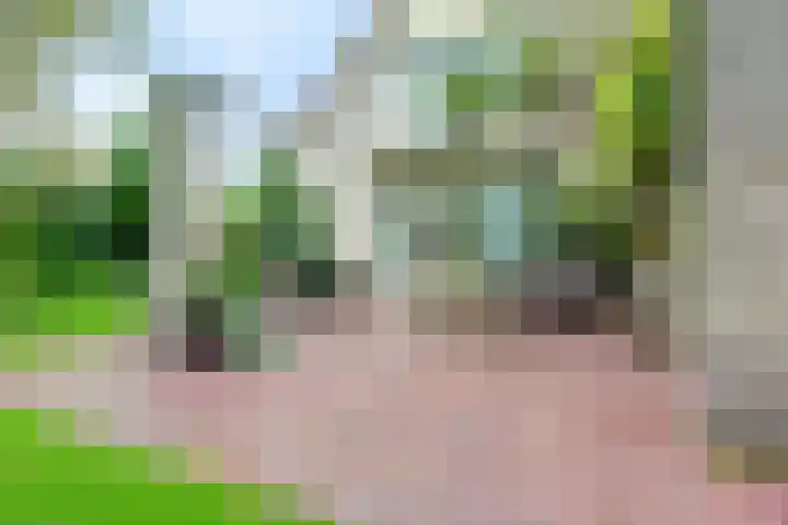 Zwanebloem 32 Hoogeveen thumbnail 49