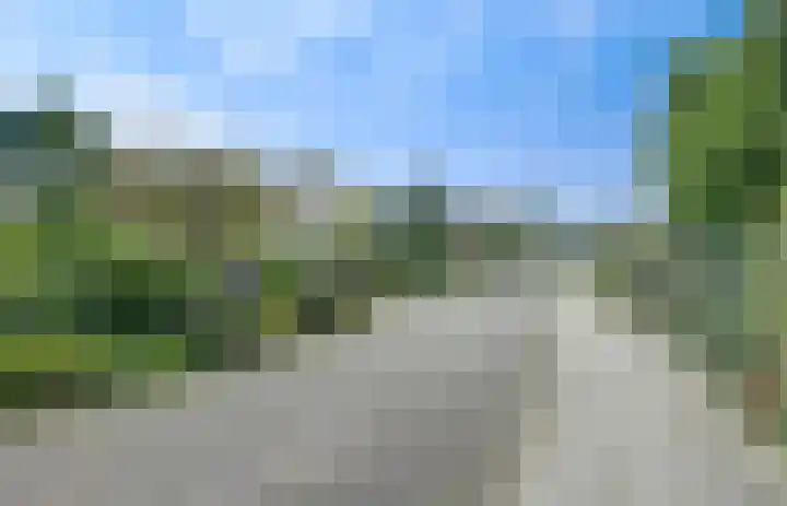 Zwanebloem 32 Hoogeveen thumbnail 5