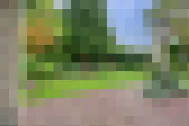 Zwanebloem 32 Hoogeveen thumbnail 51