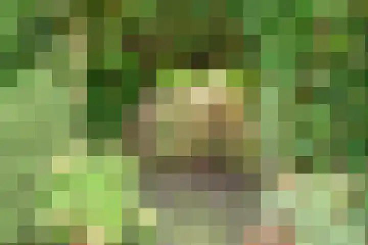Zwanebloem 32 Hoogeveen thumbnail 54