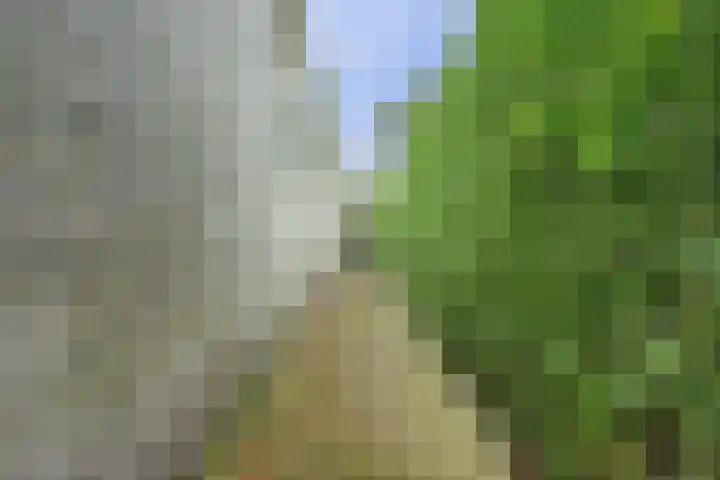 Zwanebloem 32 Hoogeveen thumbnail 57
