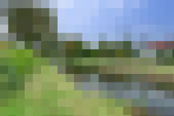 Zwanebloem 32 Hoogeveen thumbnail 58