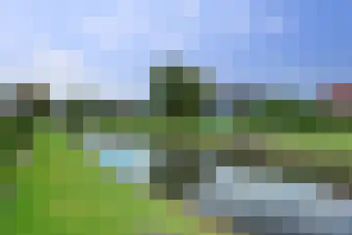 Zwanebloem 32 Hoogeveen thumbnail 59