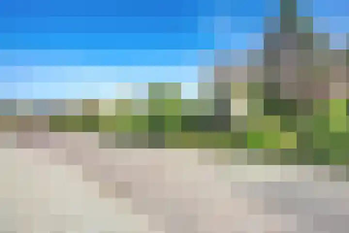 Zwanebloem 32 Hoogeveen thumbnail 6