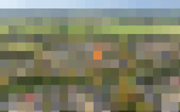Zwanebloem 32 Hoogeveen thumbnail 60