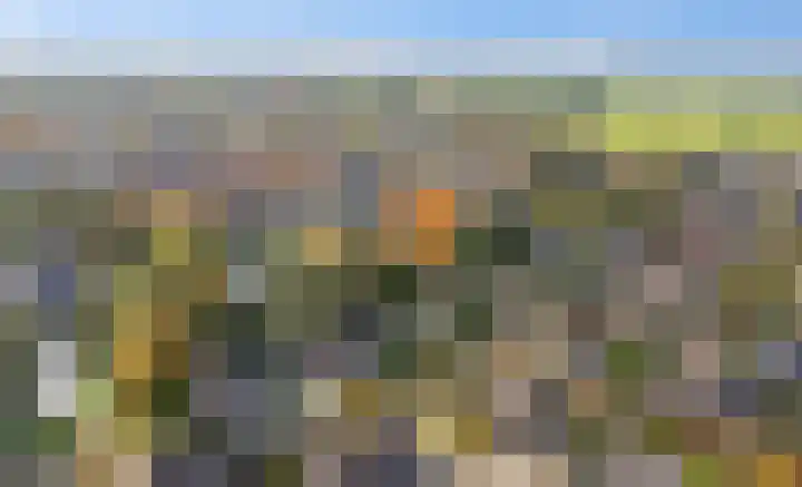 Zwanebloem 32 Hoogeveen thumbnail 61