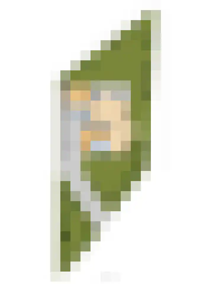 Zwanebloem 32 Hoogeveen thumbnail 64