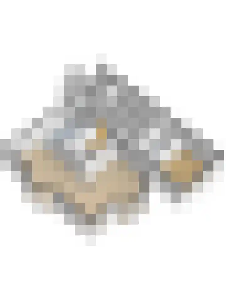 Zwanebloem 32 Hoogeveen thumbnail 68