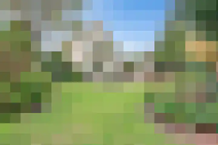Zwanebloem 32 Hoogeveen thumbnail 7