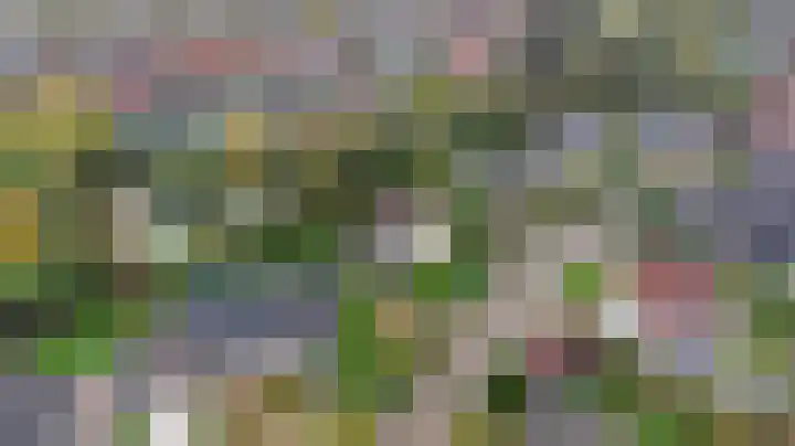 Zwanebloem 32 Hoogeveen thumbnail 9
