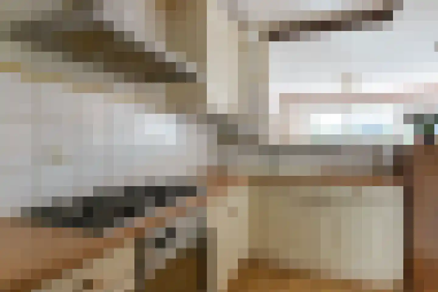 Zwanebloem 34 Reeuwijk thumbnail 20