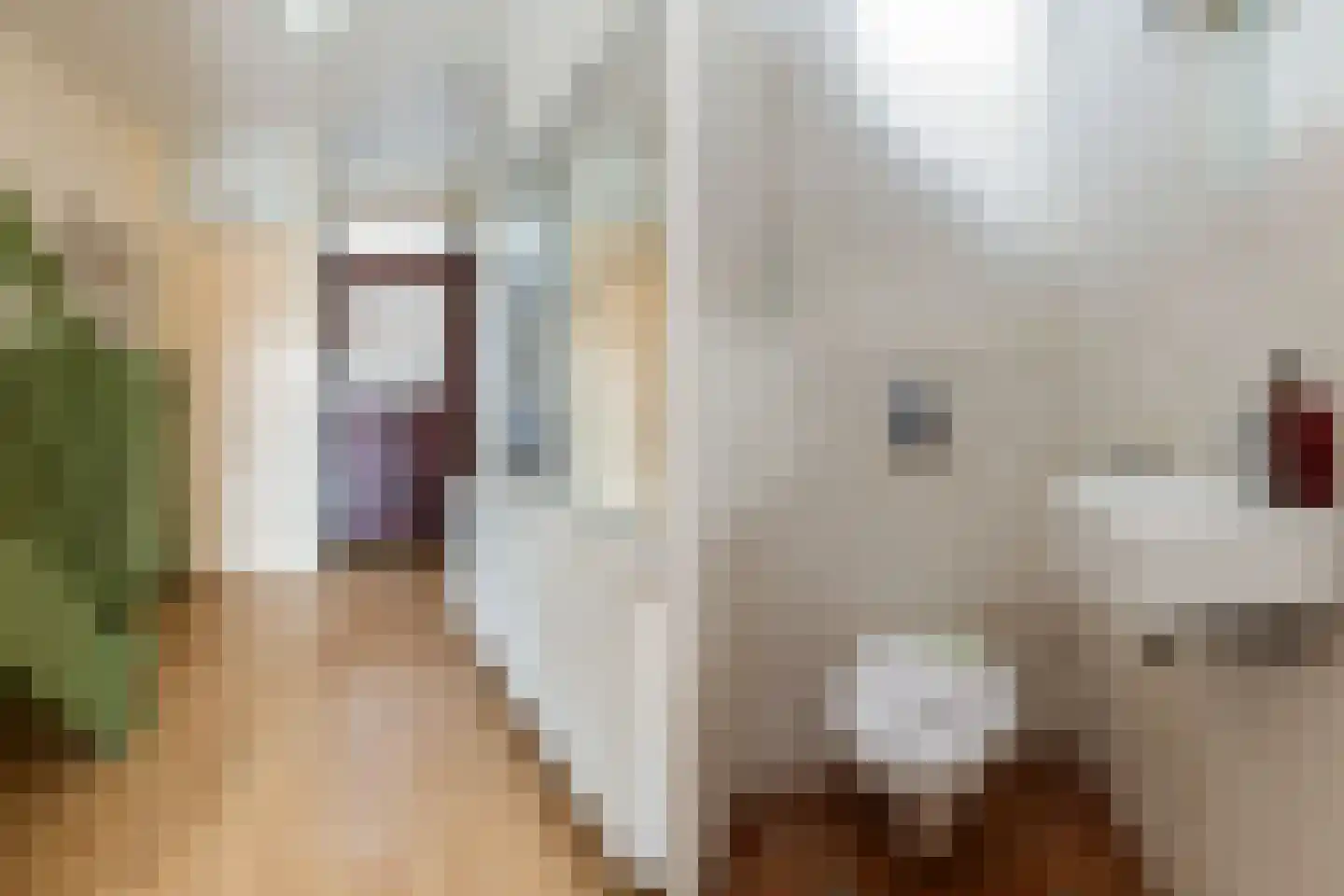 Zwanebloem 34 Reeuwijk thumbnail 22