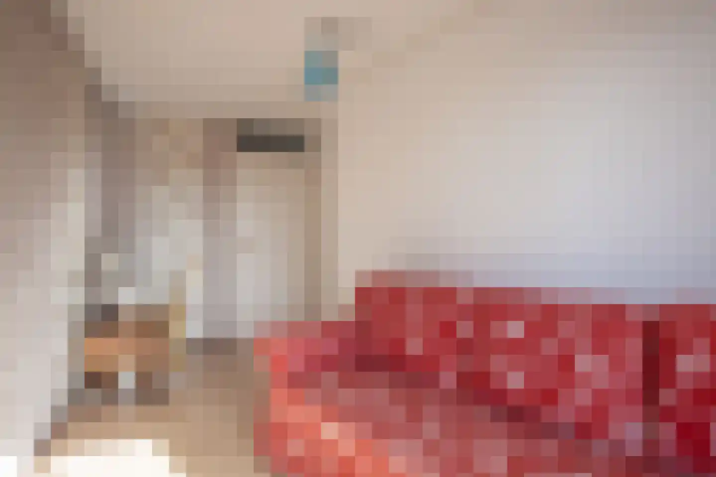 Zwanebloem 34 Reeuwijk thumbnail 30