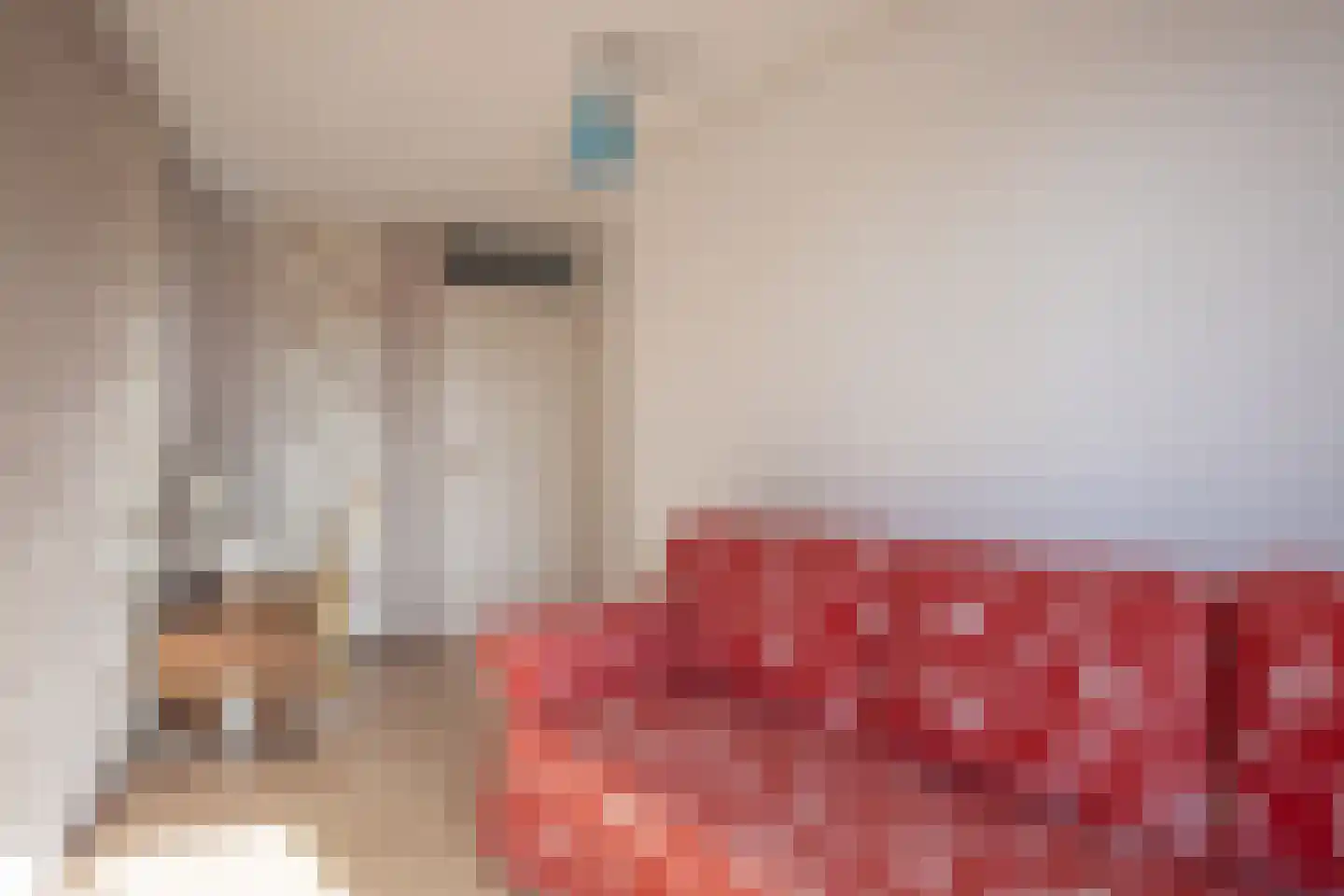 Zwanebloem 34 Reeuwijk thumbnail 30