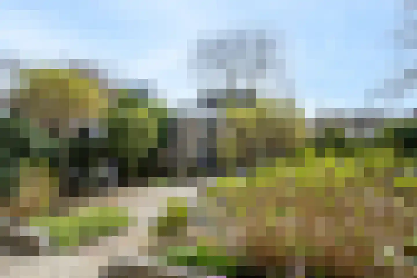 Zwanebloem 34 Reeuwijk thumbnail 53