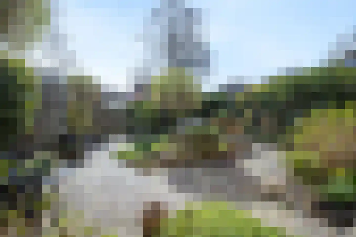 Zwanebloem 34 Reeuwijk thumbnail 54