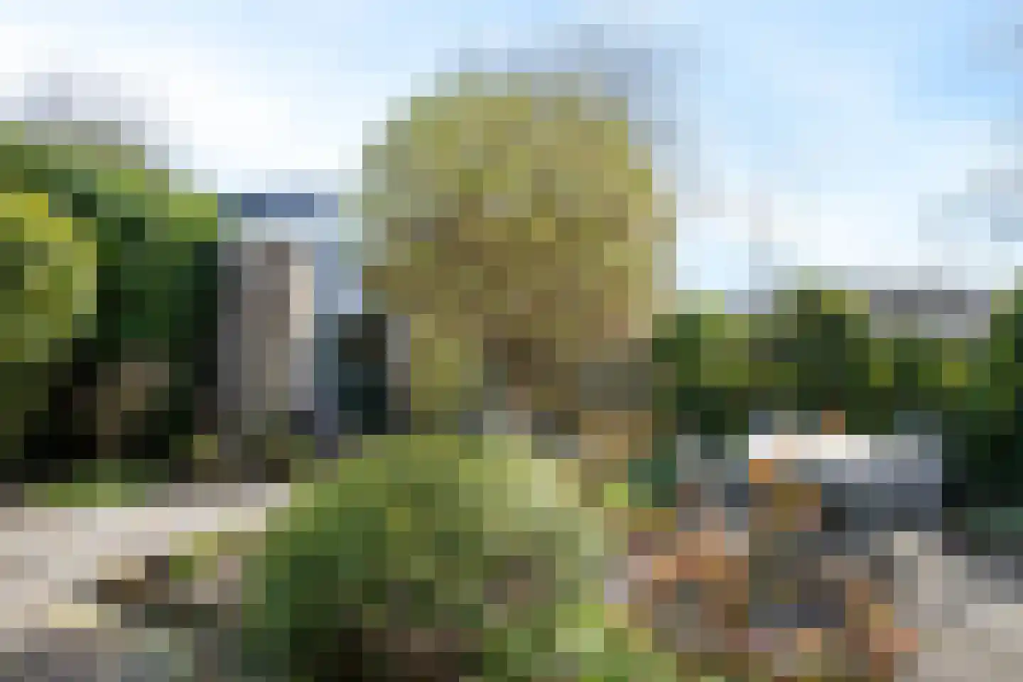 Zwanebloem 34 Reeuwijk thumbnail 55