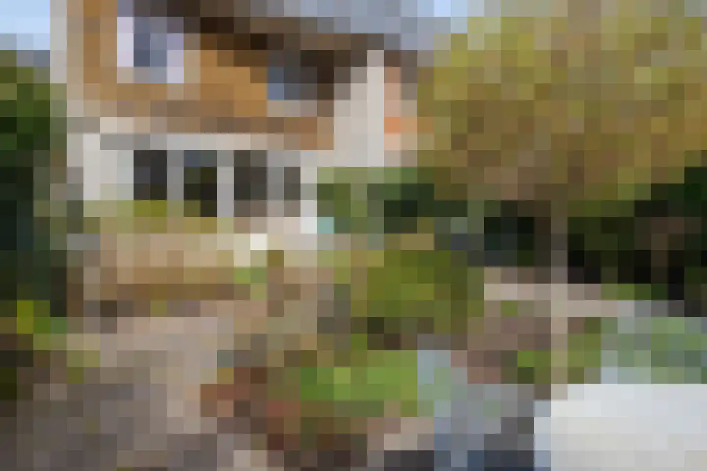 Zwanebloem 34 Reeuwijk thumbnail 56