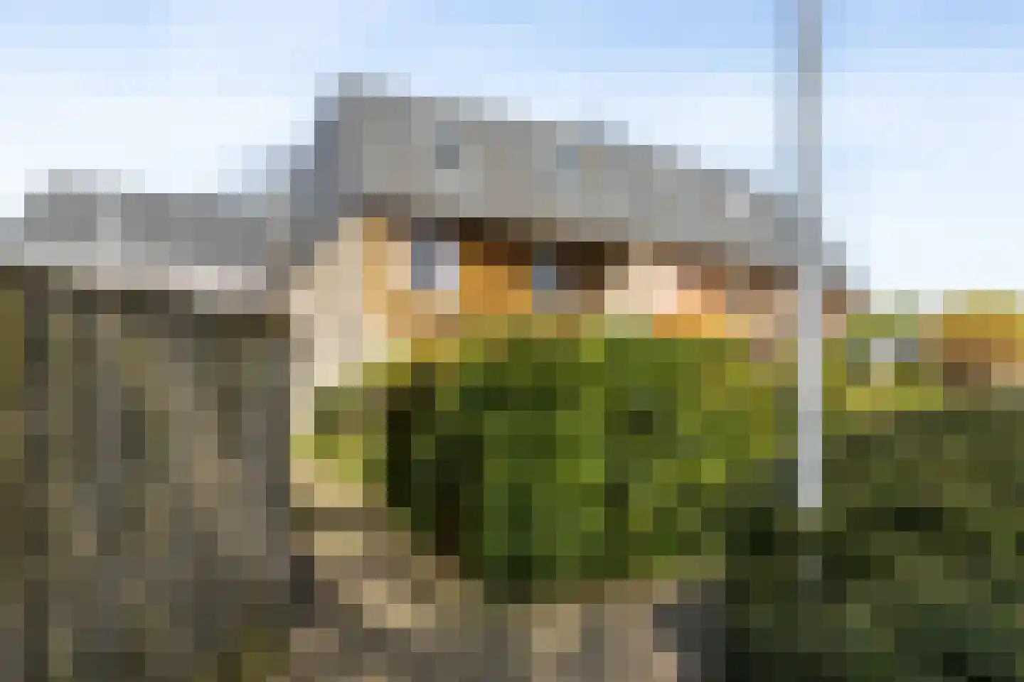 Zwanebloem 34 Reeuwijk thumbnail 60